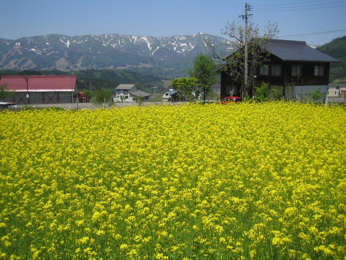 Inaka No Yado Sawa Hotel Nozawaonsen Exterior photo